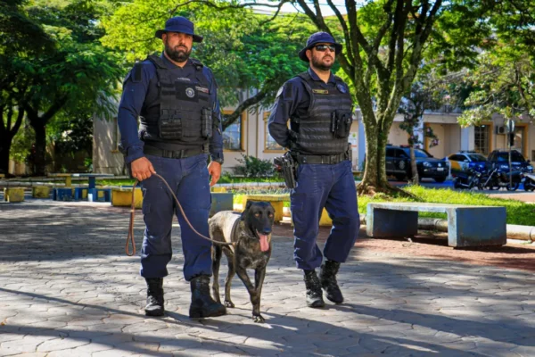 Arapongas tem menor índice de mortes violentas entre as cidades do PR