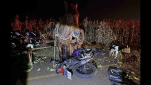 Motociclista de 26 anos morre em colisão com carroça no Vale do Ivaí