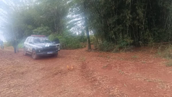 Polícia diz que sobrinho é autor de latrocínio de idoso em Bom Sucesso