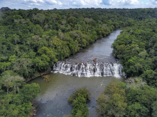 Mata ciliar aumenta 12% no Paraná com proteção de nascentes e plantio de mudas