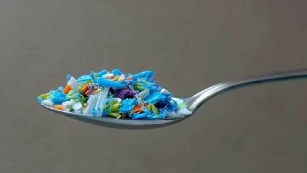 Como o microplástico foi parar dentro do corpo humano?