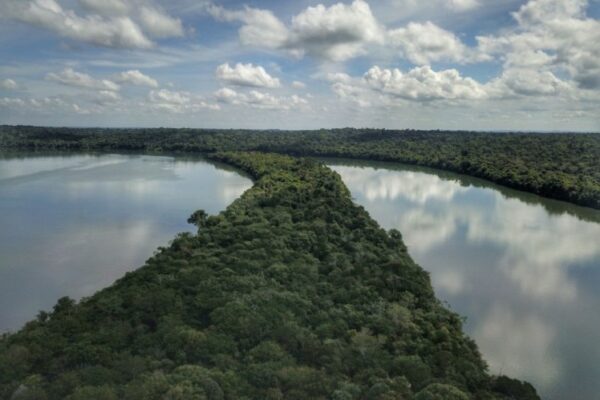 Paraná é o estado mais sustentável do Brasil, aponta Ranking de Competitividade