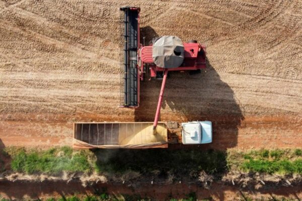 35 cidades do Paraná têm Valor Bruto da Produção Agropecuária superior a R$ 1 bilhão
