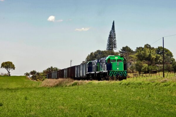 Estado pede autorização da Assembleia Legislativa para desestatização da Ferroeste