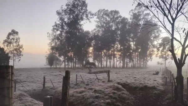 Semana começa congelante com 15 cidades com temperaturas negativas no PR