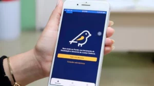 Paraná está entre estados com mais denúncias no app Justiça Eleitoral