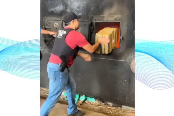 Policia Civil incinera mais de 300 quilos de drogas em Arapongas