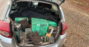 Mercadorias contrabandeadas avaliadas em R$ 230 mil são apreendidas em Jandaia do Sul