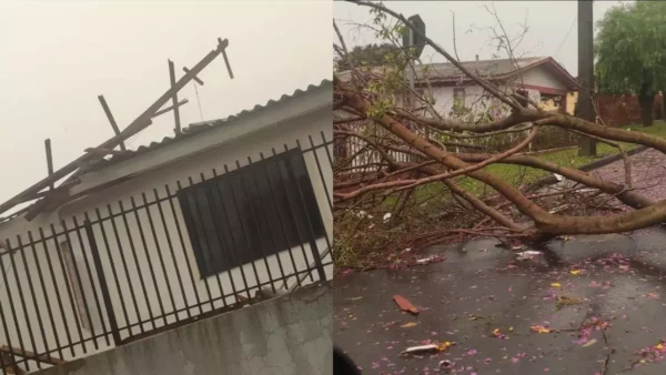 Tempestade com granizo e queda de árvore deixa casas destruídas no PR