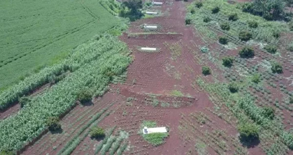 Viapar terá de pagar R$ 222 mi por não entregar contorno em Arapongas, diz MPF