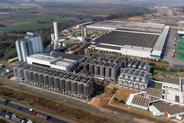 Do campo ao copo: cadeia cervejeira investiu R$ 5 bilhões em 5 anos no Paraná
