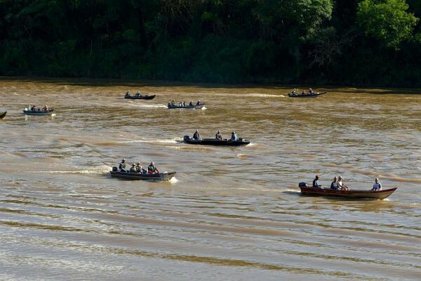 Nova fase do Rio Vivo começa com a soltura de 100 mil peixes no Rio Ivaí, no Noroeste