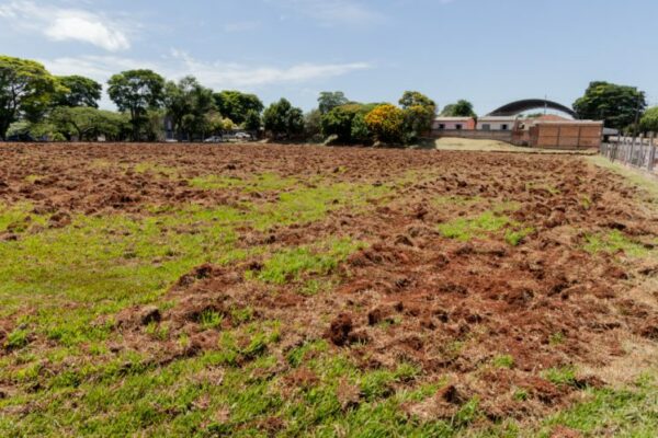 Prefeitura de Apucarana retoma posse do campo da Vila Reis