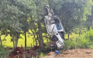 Caminhonete fica suspensa em árvore após acidente na PR-566