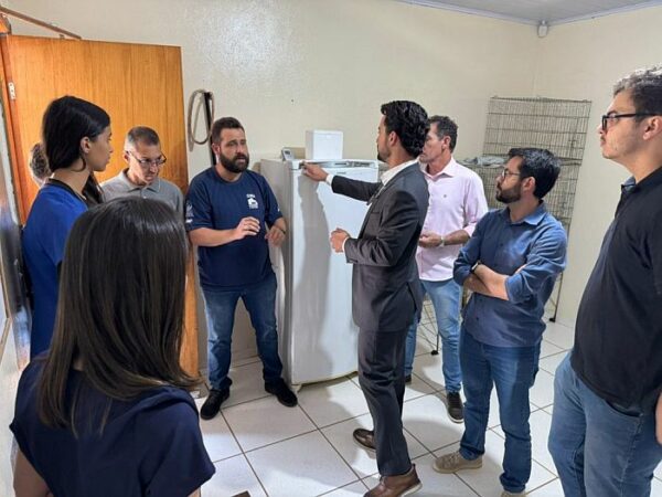 Distribuição de ração para protetores de animais acontece nesta sexta-feira em Apucarana
