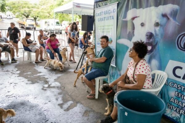 CastraPet Paraná realiza mutirão de três dias em Apucarana