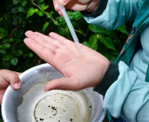 Região tem primeiro município com registro de epidemia de dengue