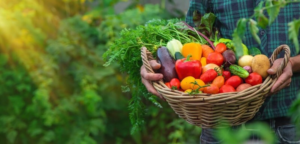 Arapongas – Sesan faz balanço de ações do programa de aquisição de Alimentos
