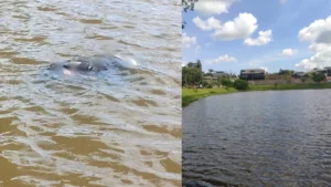 Corpo de mulher é encontrado boiando no Lago Sacura em Faxinal