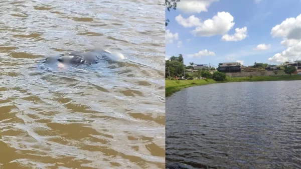 Corpo de mulher é encontrado boiando no Lago Sacura em Faxinal