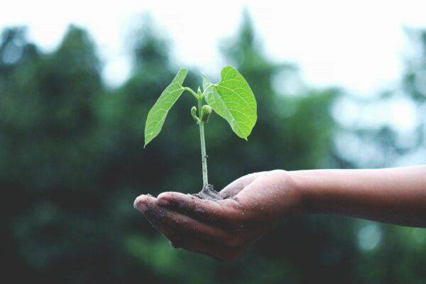 Sustentabilidade será destaque na Movelpar 2025 em Arapongas