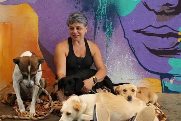Castrapet em Arapongas atende 400 animais gratuitamente