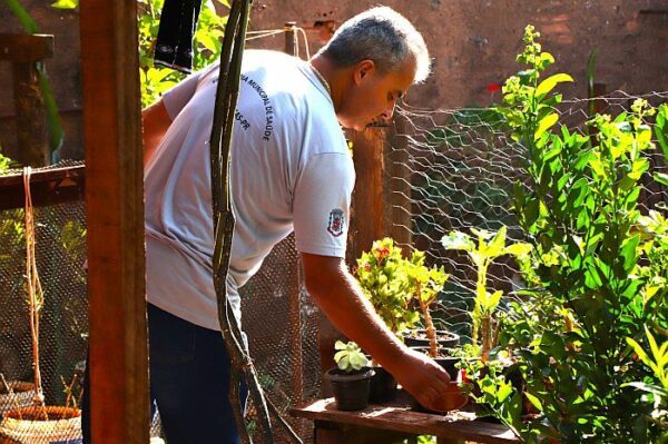 Boletim da Dengue registra 50 casos positivos em Arapongas