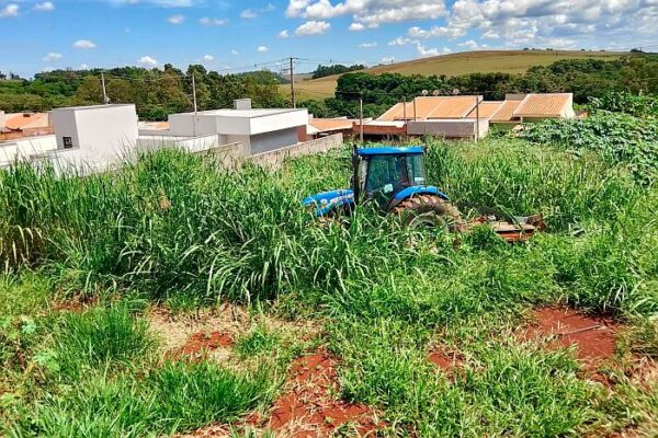 Prefeitura de Califórnia intensifica limpeza de terrenos abandonados