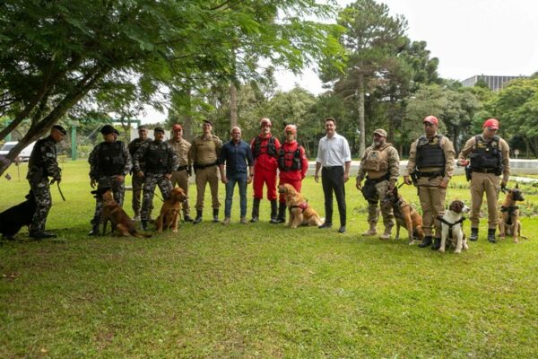 Governo do Paraná vai comprar 93 cães para reforçar atividades policiais e de salvamento