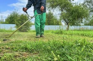 A partir de agora, proprietários terão 10 dias de prazo para limpeza de terrenos em Arapongas