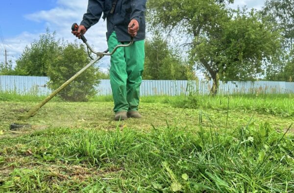 A partir de agora, proprietários terão 10 dias de prazo para limpeza de terrenos em Arapongas