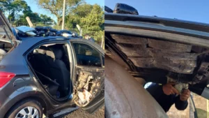 Motorista é preso com carro lotado de drogas em Mandaguari