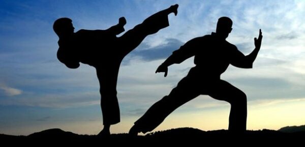 1º Arapongas Combate vai reunir diferentes modalidades de Artes Marciais