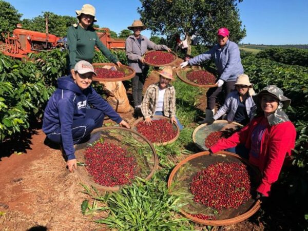 Com crédito, tecnologia e capacitação, Estado garante apoio às mulheres do campo