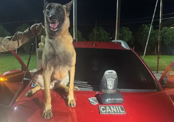 Cão da PM encontra 1 kg de droga dentro de carro em Arapongas