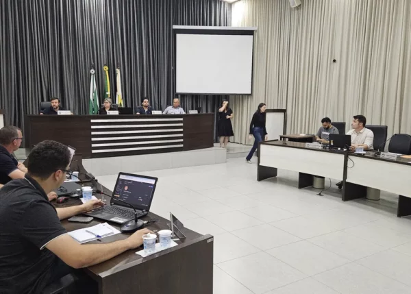 Projeto Abelha sem Ferrão é aprovado na Câmara de Apucarana