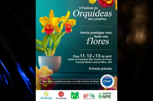 Festival das Orquídeas traz mais de 600 espécies raras a Londrina com preços acessíveis