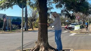 Começa coleta de dados para a elaboração do primeiro plano de arborização de Apucarana