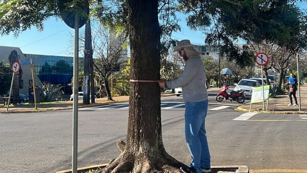 Começa coleta de dados para a elaboração do primeiro plano de arborização de Apucarana