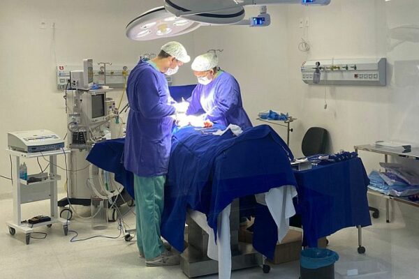 Com investimento bilionário, Paraná faz mais de 2 mil cirurgias eletivas por dia