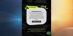 Prefeitura de Arapongas vai recolher galhos podados em parceria com a Copel
