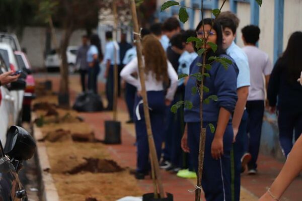 Arapongas encerra semana do Meio Ambiente com plantio de árvores no Colégio Marquês