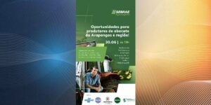 Prefeitura promove evento de oportunidades para produtores de abacate de Arapongas e região