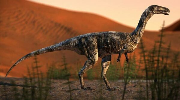 Maringá – Parque do Ingá recebe exposição com réplica do fóssil do primeiro dinossauro do Paraná