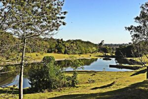 Jardim Botânico de Londrina será revitalizado pelo Governo do Estado