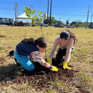 Bosque de ipês é criado em Sarandi por meio de parceria entre iniciativa privada e prefeitura