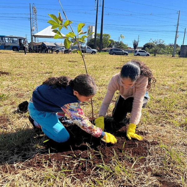 Bosque de ipês é criado em Sarandi por meio de parceria entre iniciativa privada e prefeitura