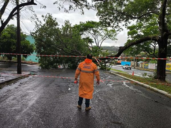 Equipes da Prefeitura de Maringá estão nas ruas para atendimento de ocorrências causadas pelas chuvas e ventos fortes