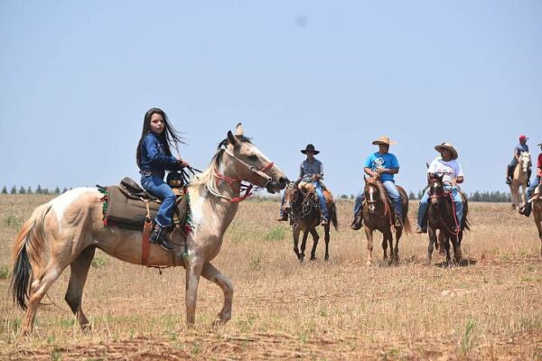 Prefeitura de Mandaguari confirma realização da Cavalgada da Padroeira