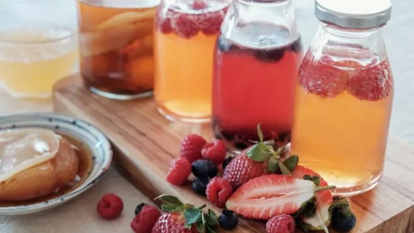 Kombucha dispara no Brasil: produção cresce 923% em 6 anos após regulamentação